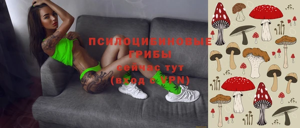 дмт Абаза