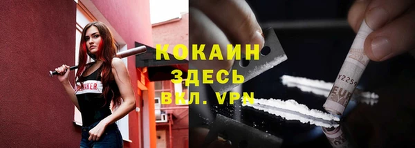 дмт Абаза