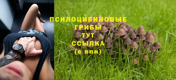 дмт Абаза