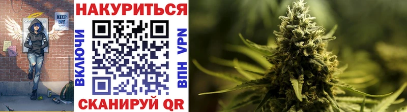Бошки Шишки ГИДРОПОН  купить наркотик  Кашира 